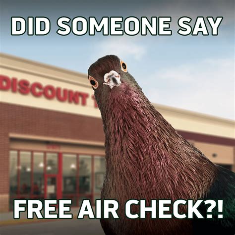 Image result for Toad Voice Meme