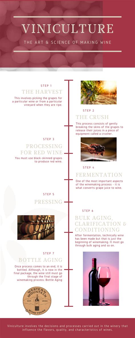 Wine Making Process 的图像结果