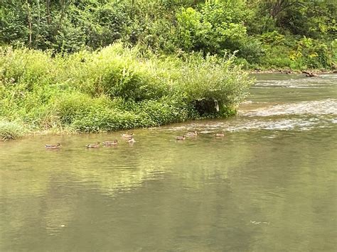 HOTEL KRALJEVAC (Kljuc) - Hotel Reviews & Photos - Tripadvisor