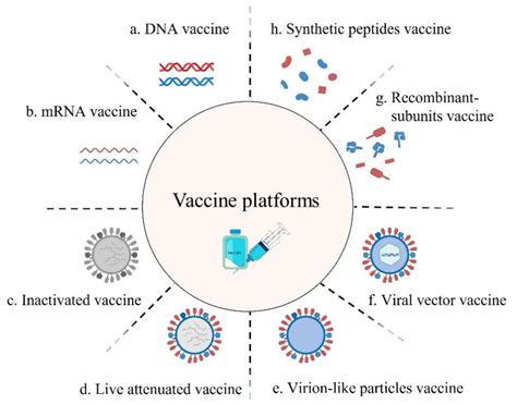 Viral Vector Vaccine Development and Application during the COVID-19 Pandemic