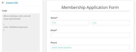 Image result for Blue Form CSS