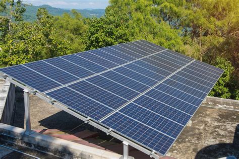 Cross-cutting climate campaigns and programs - Sequoia Climate Foundation