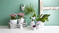 vasi colorati per piante dalani vasi per fiori eleganti oggetti decorativi vasi colorati per piante dalani vasi per fiori eleganti oggetti decorativi