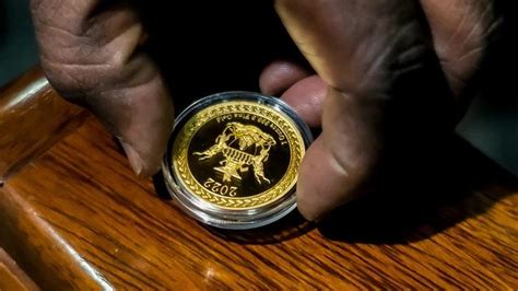 Explained: Why Has Zimbabwe Introduced Gold Coins As Legal Tender