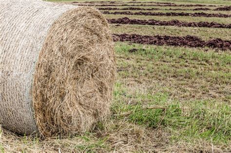 Image result for Haystack First Day