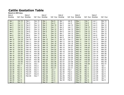 Dairy cattle gestation table - InfoDairy
