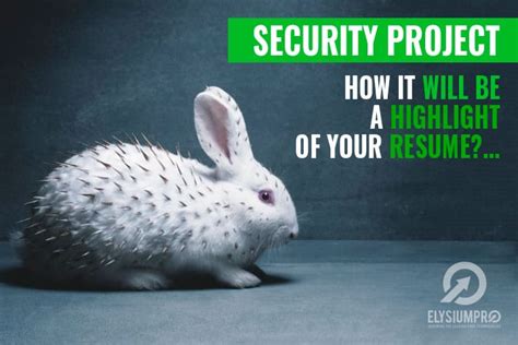 Internet Security Project Class 10 的图像结果