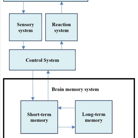 Process Information 的图像结果