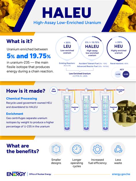HALEU 101 Graphic December 2024 update | Department of Energy