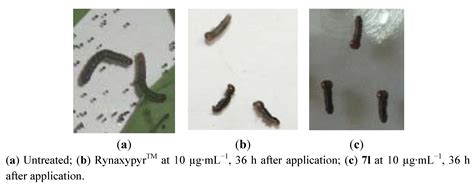 Synthesis, Structure and Insecticidal Activities of Some Novel Amides ...