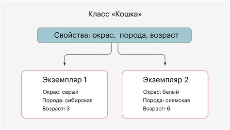 Какая разница между объектом и классом