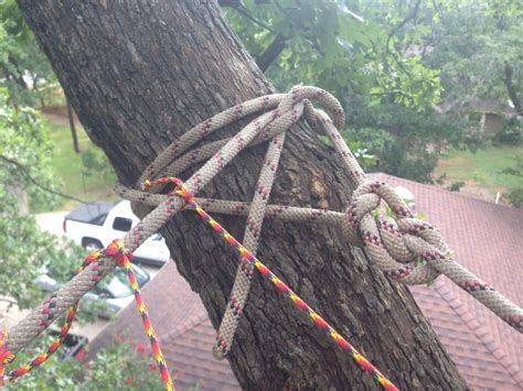 Image result for How to Bilde a Tree Nete