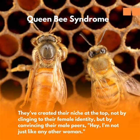 Why women at the top are less empathic - Queen Bee Syndrome | Miriam G. posted on the topic ...