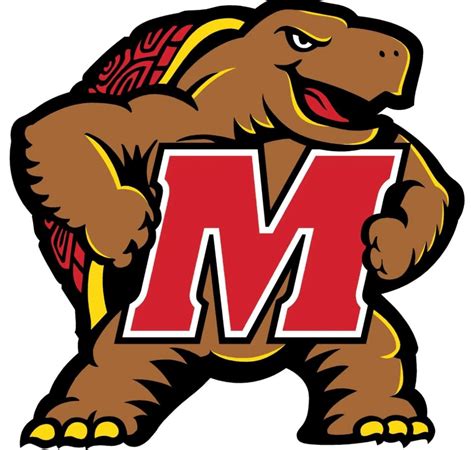 I am excited to announce that I will be interning with the University ...