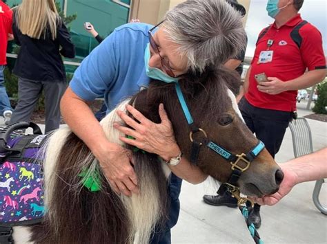 Half pints at Culver’s in Independence , Culver's (4220 S Little Blue ...