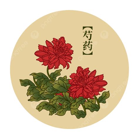 Atlas Elements Of Traditional Chinese Medicine Herbs, Chinese Medicine ...