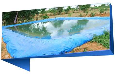 Pond Linears