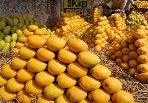 For Aam People, Here is how you can Identify Different Varieties of Mangoes