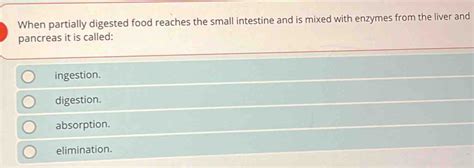 Image result for Partially Digested Food