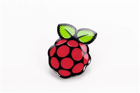Image result for Raspberry Pi Pinn
