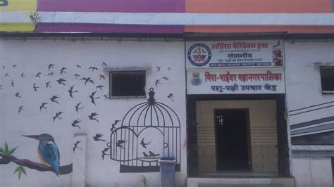 Mira-Bhayandar: Helpline Set Up for Injured Birds, Strays at MBMC’s Vet ...