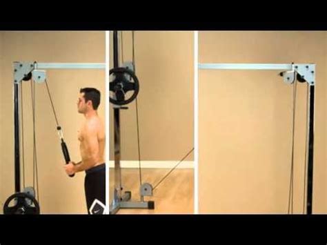 Image result for Cable Crossover Machine Exercises
