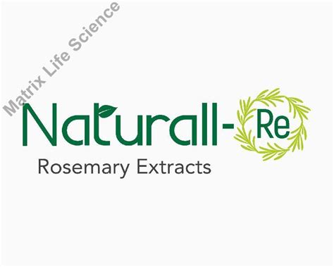 Rosemary extract Supplier | Rosemary Extract Manufacturers in India