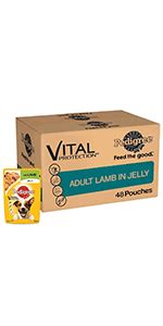 Buy Pedigree Adult Wet Dog Food, Grilled Liver Chunks Flavour in Gravy ...