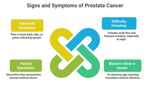 Prostate Cancer Symptoms And Signs Here Are Some Signs You Might