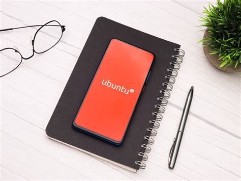 Image result for How to Copy Paste From Windows to Linux Ubuntu VirtualBox