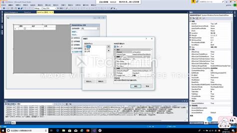 DataGridview Tutorial 的图像结果