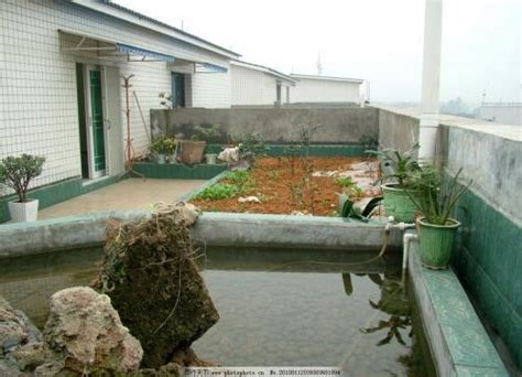 现代养鱼池,大型养鱼池,家庭小型鱼池_大山谷图库