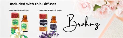 BRAHMZ Ceramic Aroma Oil Diffuser Electric Ancient Matki Diffuser with ...