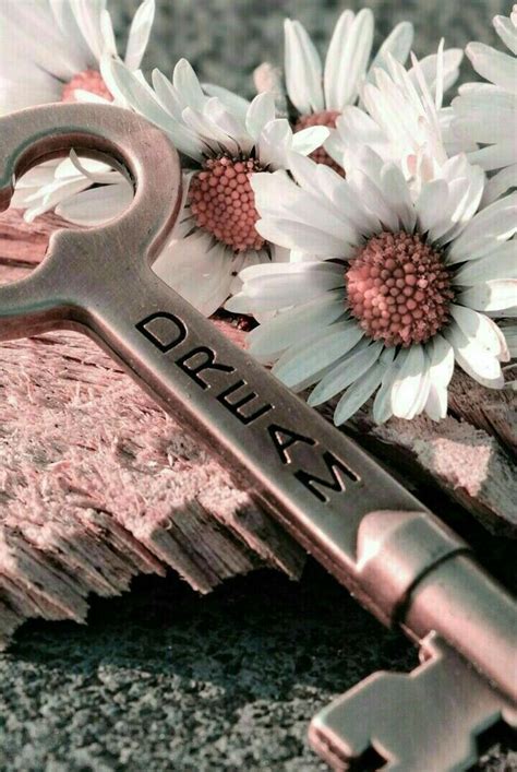 [tex]\huge\mathfrak\green{Question}[/tex][tex] [/tex]WHAT DO YOU MEAN ...