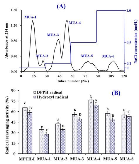 Antioxidant Peptides from the Protein Hydrolysate of Monkfish (Lophius ...