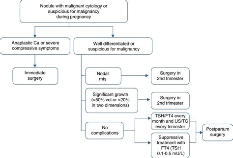 Thyroid Nodule Algorithm