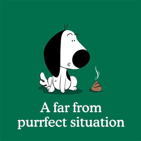 Image result for How to Stop Dogs from Eating Poop