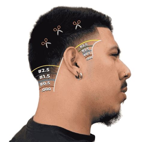 Low Taper vs High Taper vs Mid Taper: Which One Should You Get?