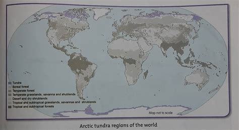 ARCTIC TUNDRA REGION - LOCATION, CLIMATE, PEOPLE, VEGETATION, WILD LIFE AND USES