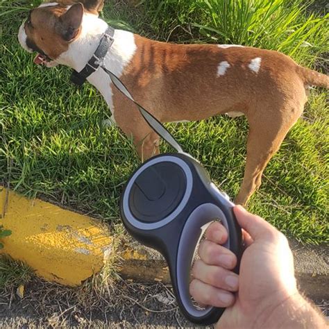 Retractable Dog Leash Dollar General at Bo Owens blog