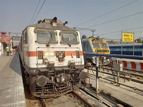 Demu Local Train 的图像结果