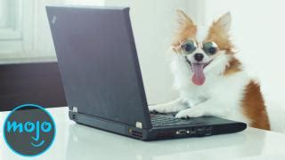 Image result for Watchmojo.com Top 10 Animals