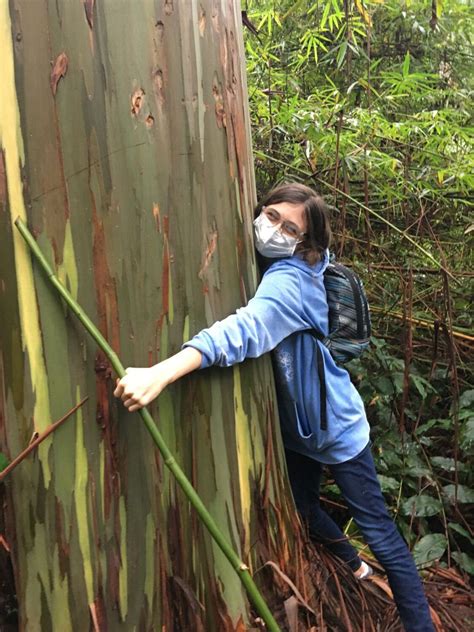 Hawaii Technology Academy: Leaders in Distance Learning During a Pandemic