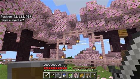 How Use GeForce to Minecraft Java 的图像结果