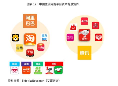 2019中国网购市场发展规模与用户行为分析_购物