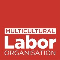 Image result for Multicultural Organisation