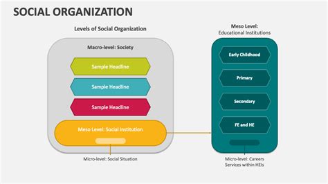 Social Organization Examples 的图像结果