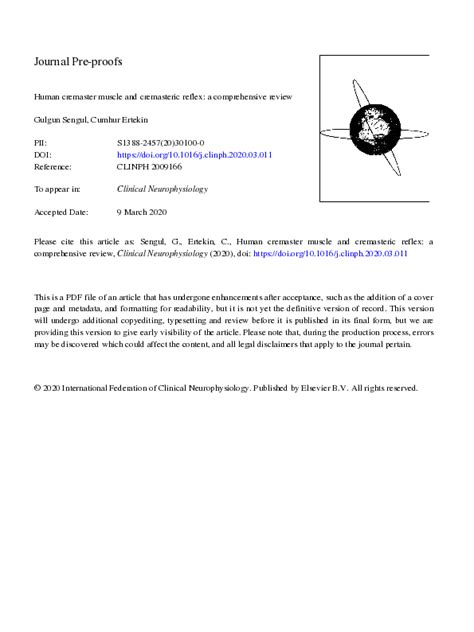Image result for Cremasteric Muscle Contraction