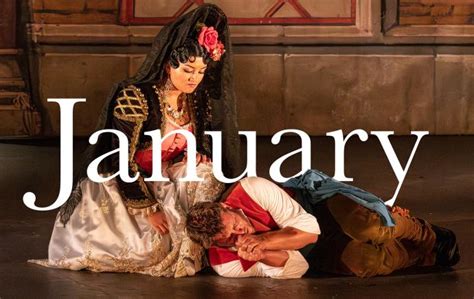 Image result for Opera Vision