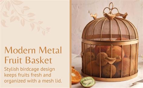 RIZIK STORE Modern Metal Fruit Basket with Mesh Lid